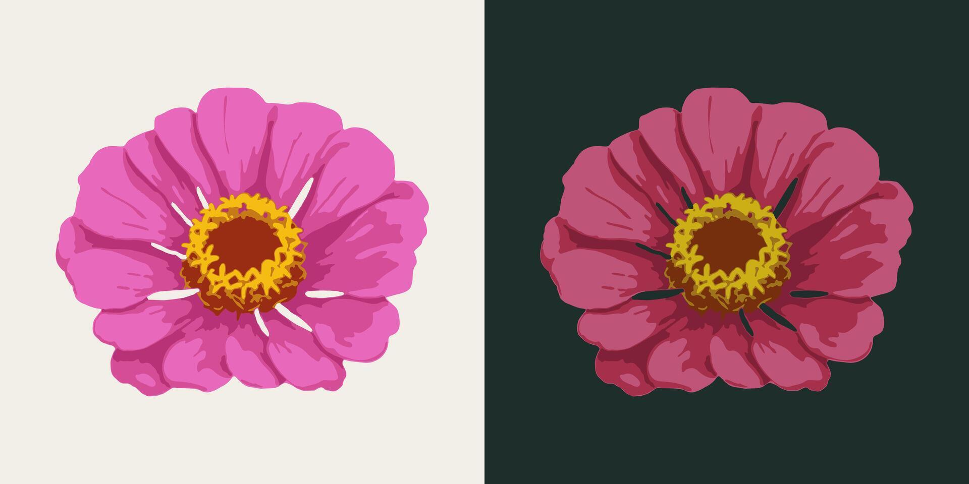 Zinnia flower head. Single isolated illustration. Image tracing, cleaned and simplified illustration. Realistic style. Not AI. vector