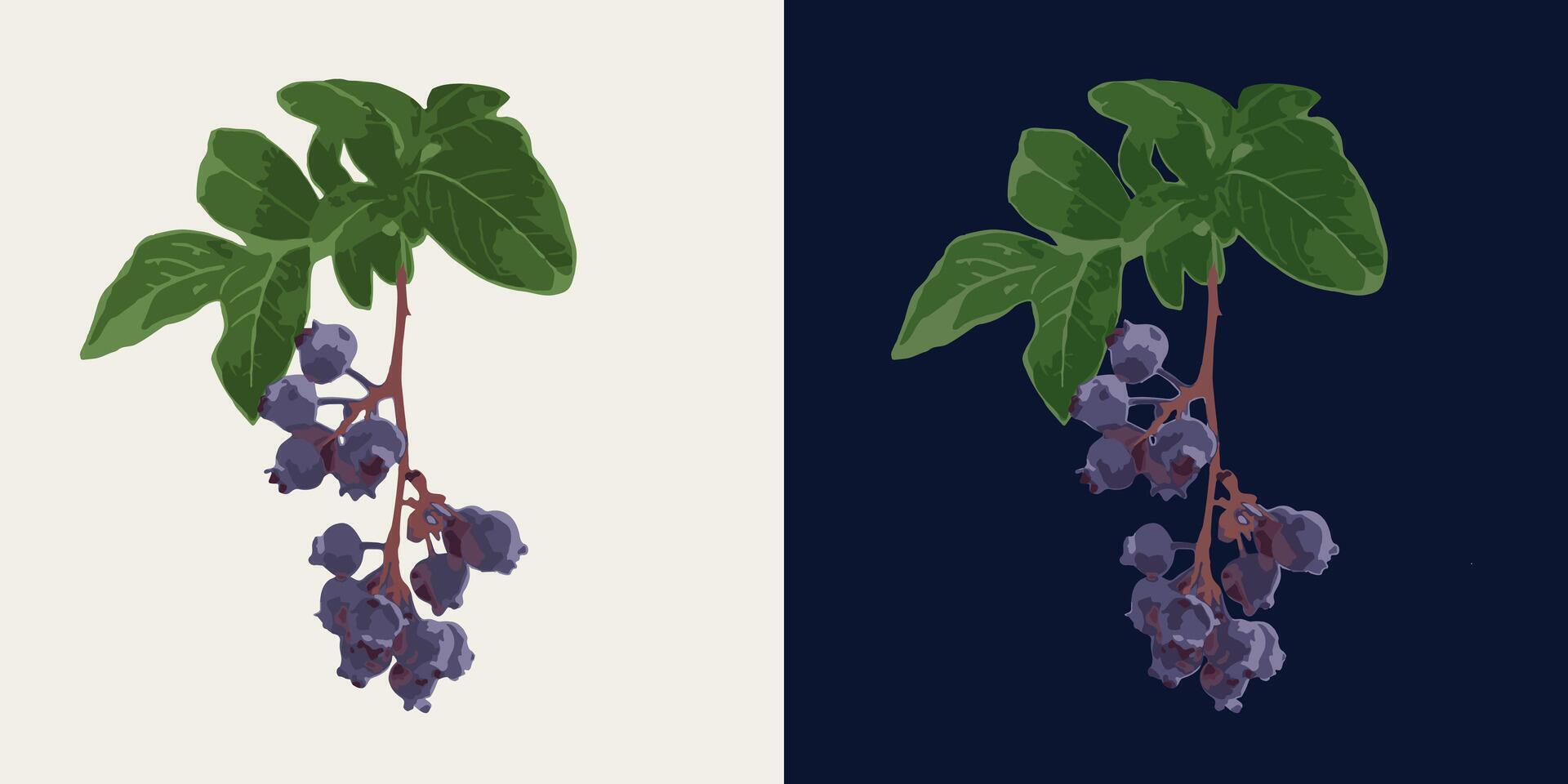 Small twig with ripe blueberries, green leaves. Image tracing, cleaned and simplified illustration. Realistic style. Not AI. vector