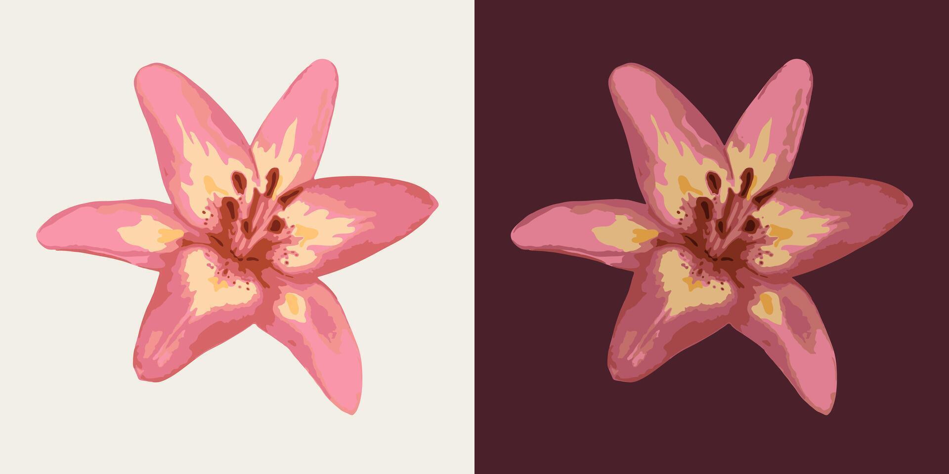 Lily flower head. Single isolated illustration. Image tracing, cleaned and simplified illustration. Realistic style. Not AI. vector