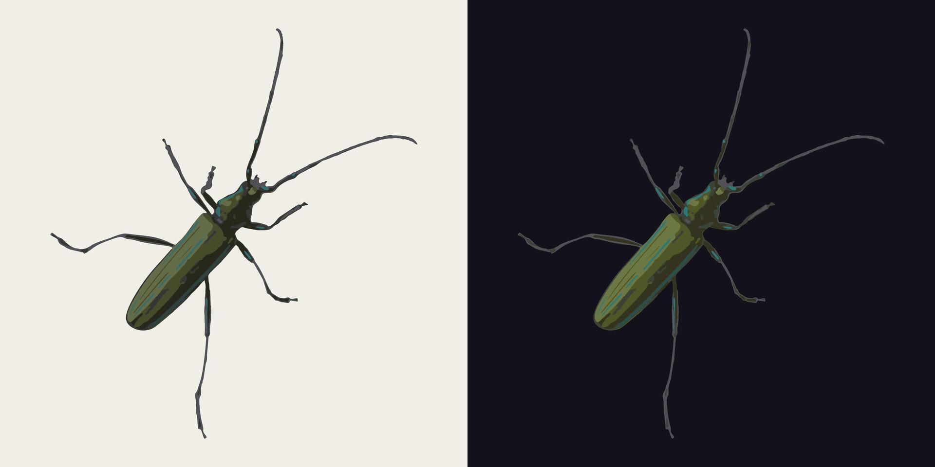Crawling musk green beetle with antennae. Top view. Single isolated colorful illustration. Image tracing, cleaned and simplified image. Realistic style. Not AI. vector