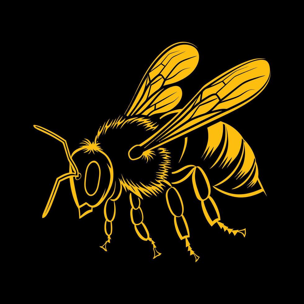 honeybee illustration on a black background vector