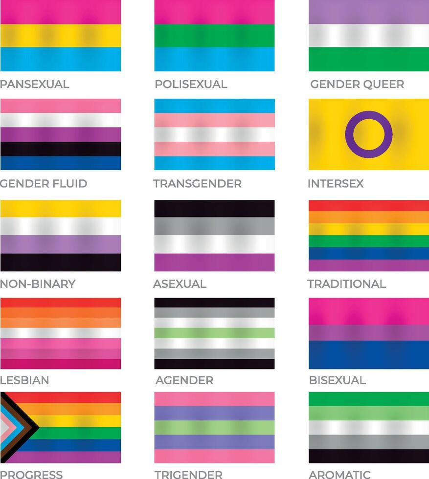 Pride flags meaning vector