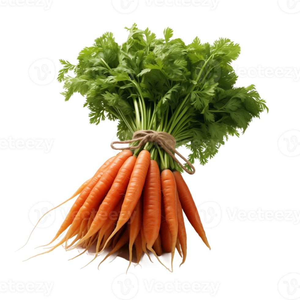 Fresh Carrot Bunch with Green Leaves Isolated on Transparent Background png
