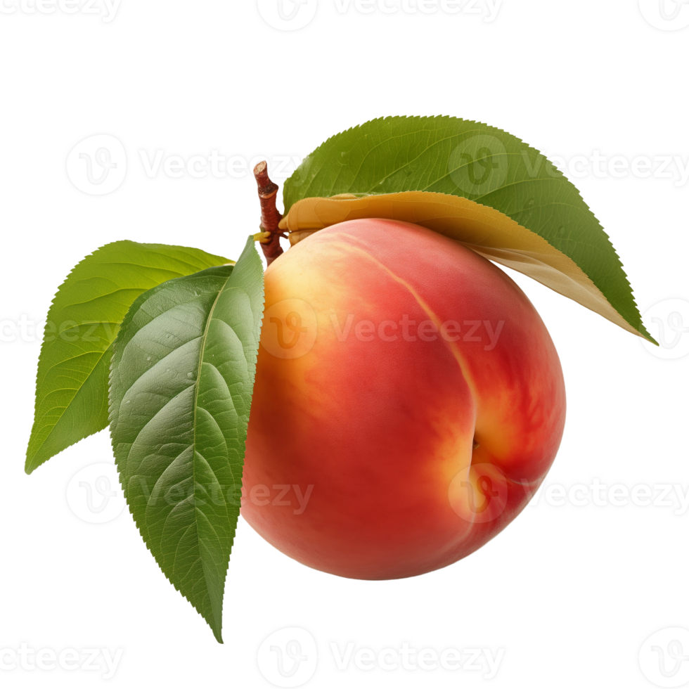 Single Peach with Leaves on Isolated Transparent Background png