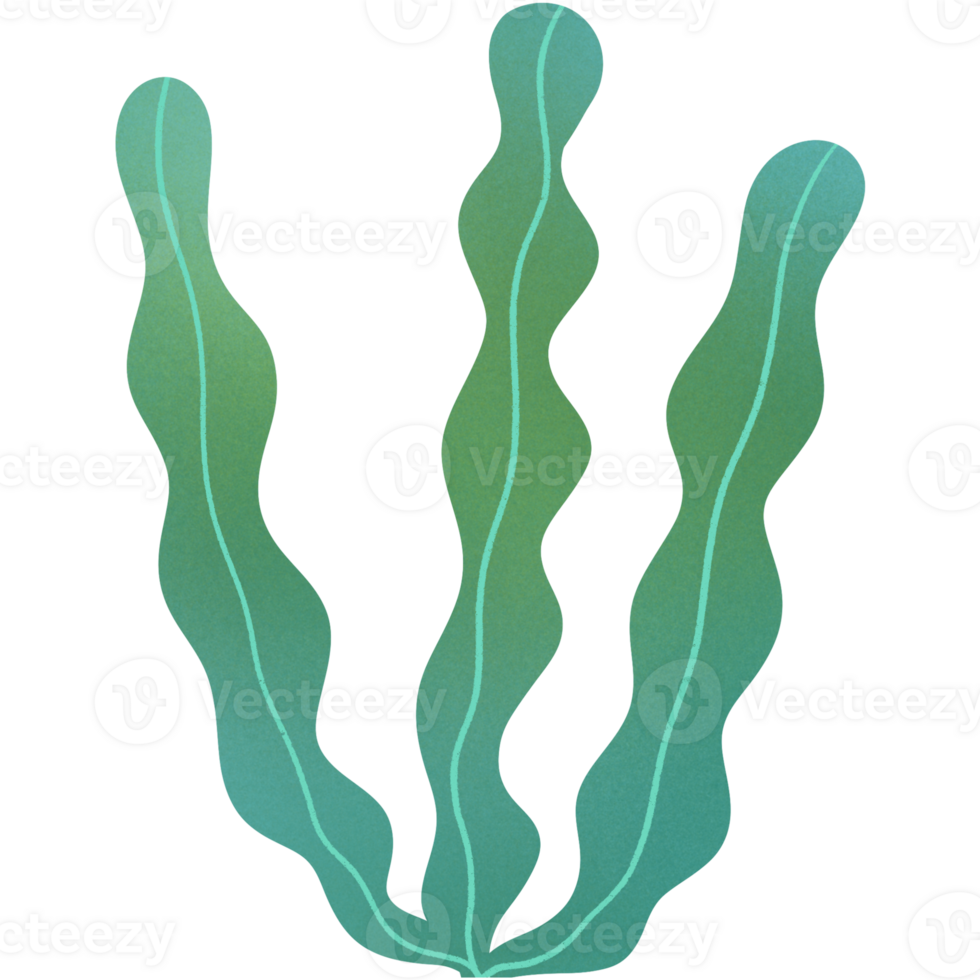 Kelp Seaweed Ornament png