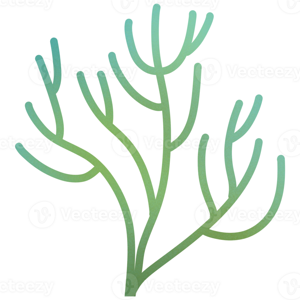Kelp Seaweed Ornament png