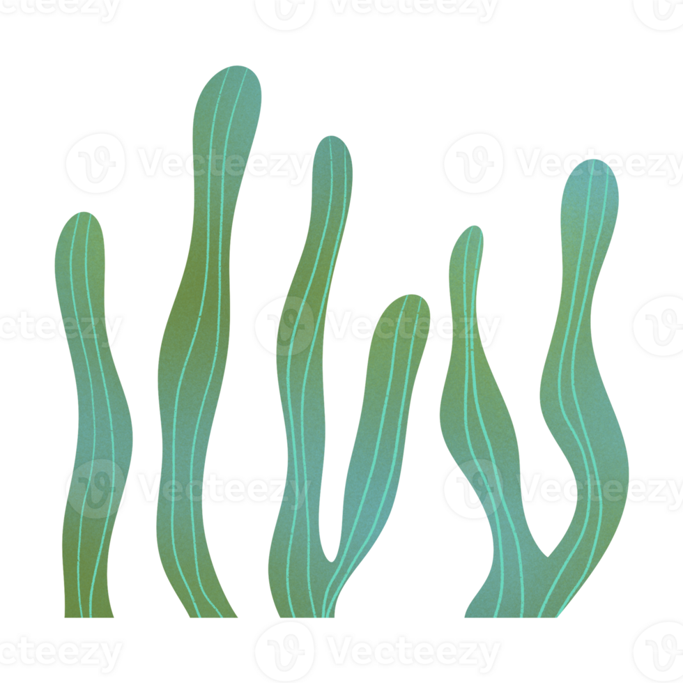 Kelp Seaweed Ornament png