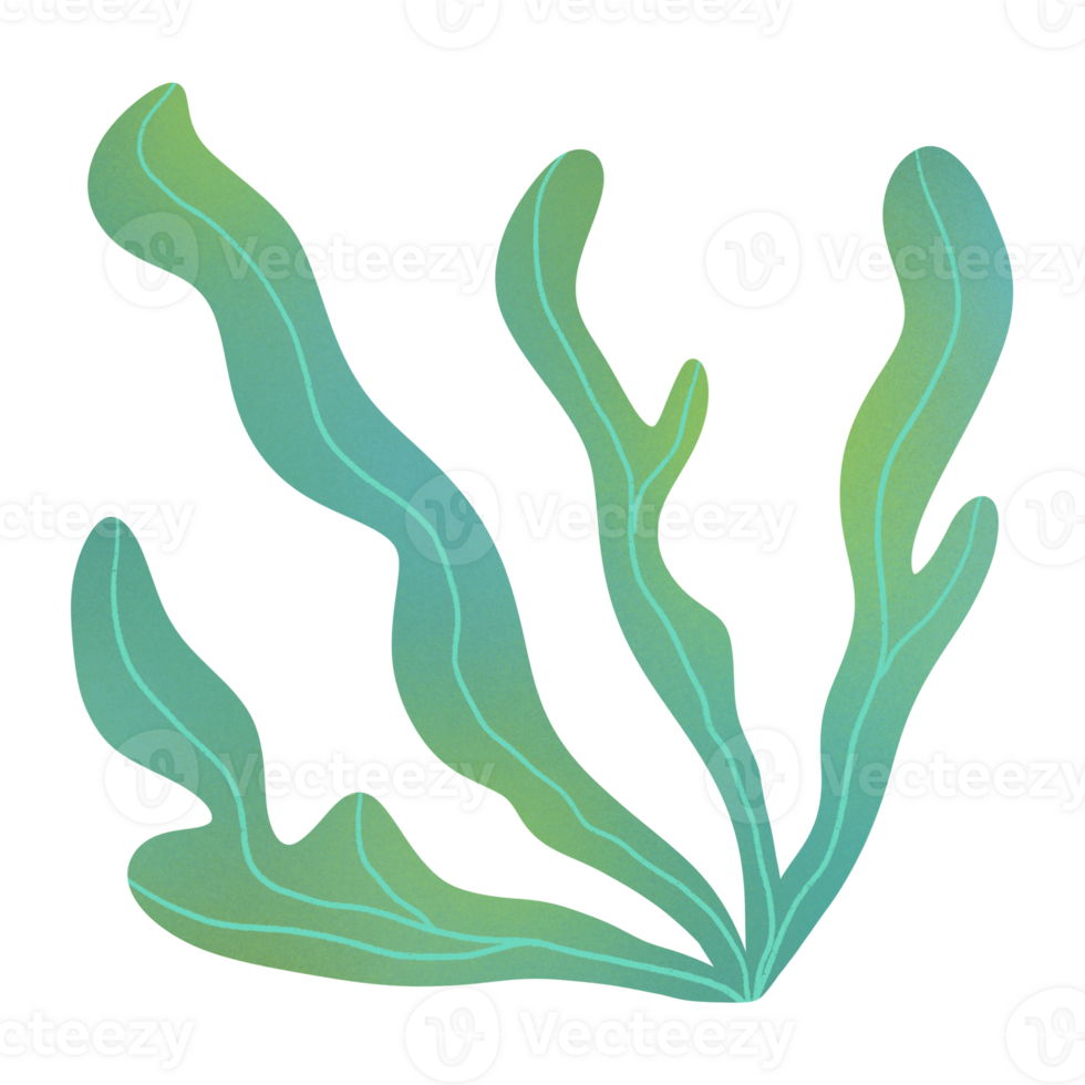 Kelp Seaweed Ornament png