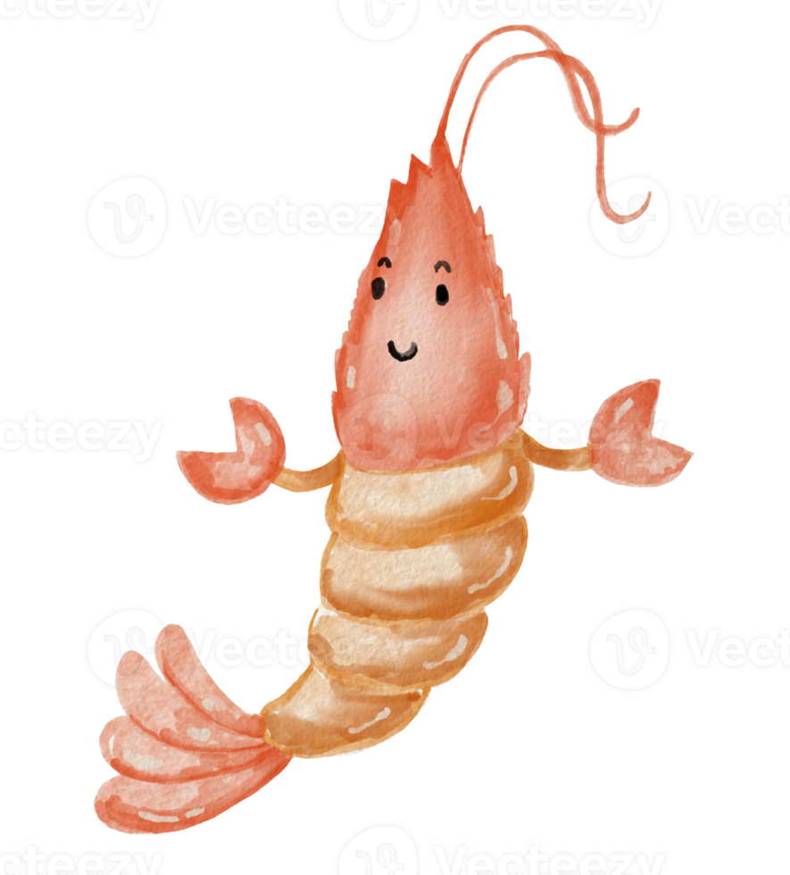 watercolor shrimp element design. png