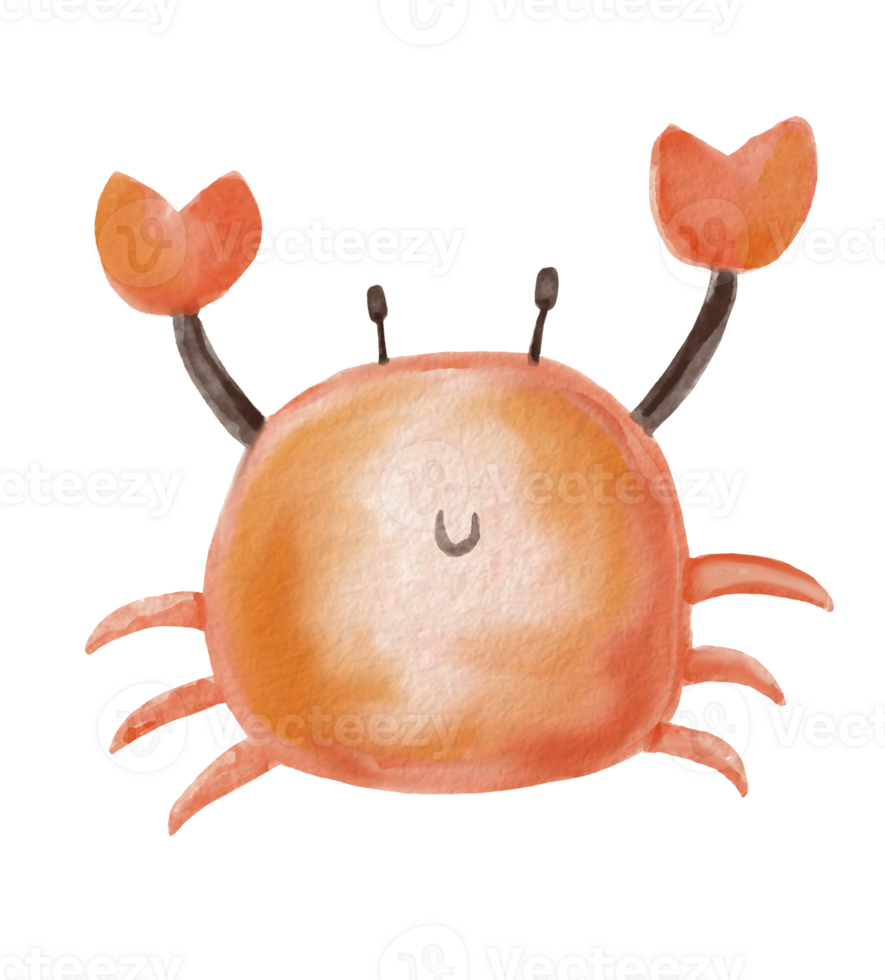 watercolor crab element design. png