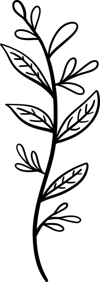 Simplicity floral freehand drawing flat design. png