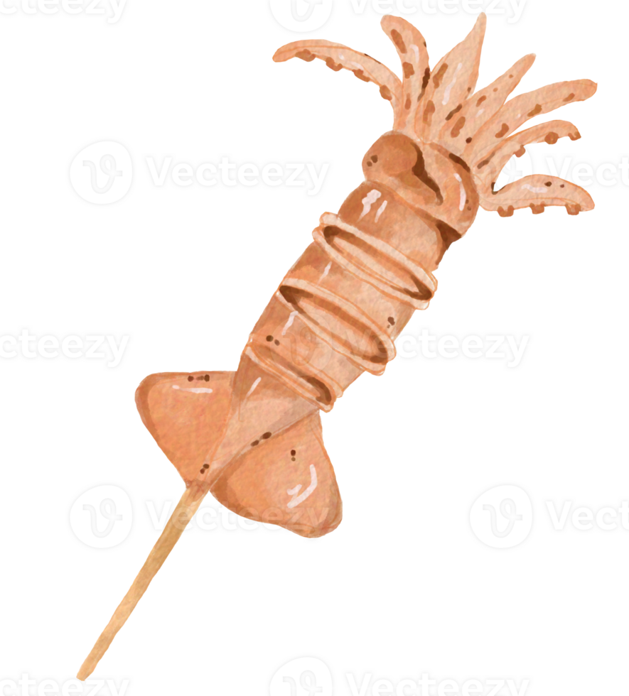 Squid on a stick element design for template, watercolor style. png