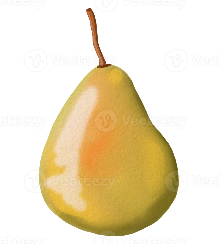 pear element design for template, watercolor style. png