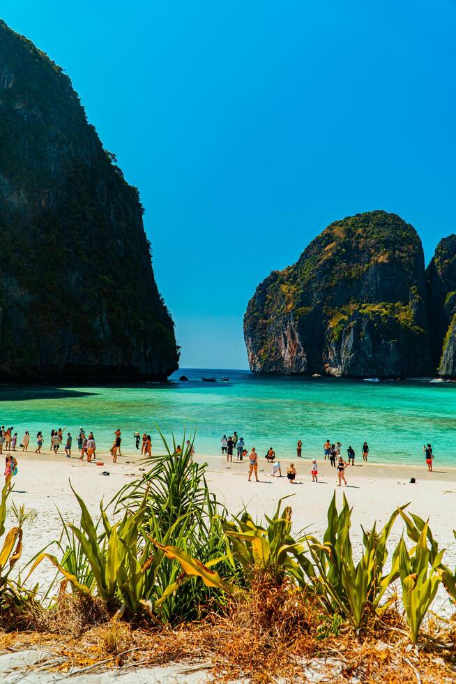 Beautiful natural view of Maya Bay during the day. Popular tourist destination on Phi-phi Island, Thailand during high season with clear sea water, white sand and very iconic high cliffs photo