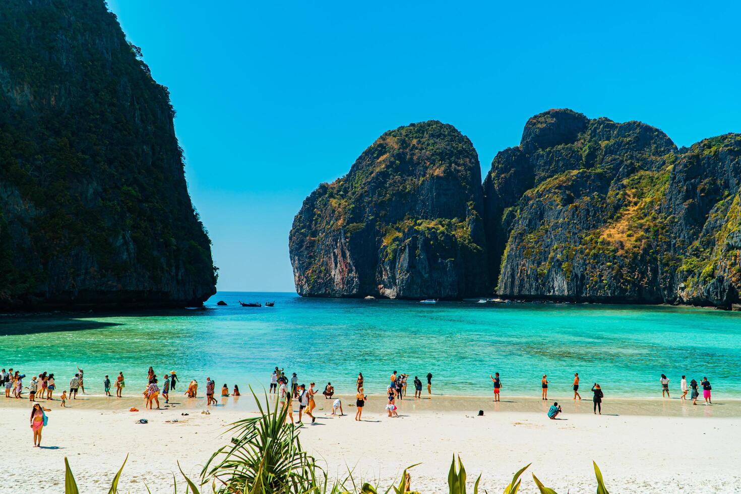 Beautiful natural view of Maya Bay during the day. Popular tourist destination on Phi-phi Island, Thailand during high season with clear sea water, white sand and very iconic high cliffs photo