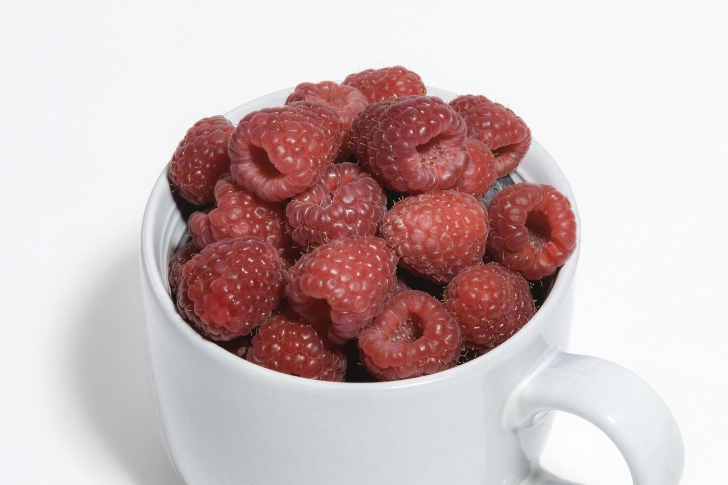 Close up of large gray mug filled to the brim with fresh raspberries on a white background photo