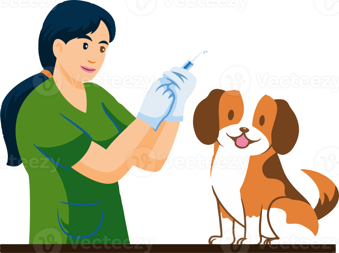 A woman is giving a dog a shot, rabies vaccine png
