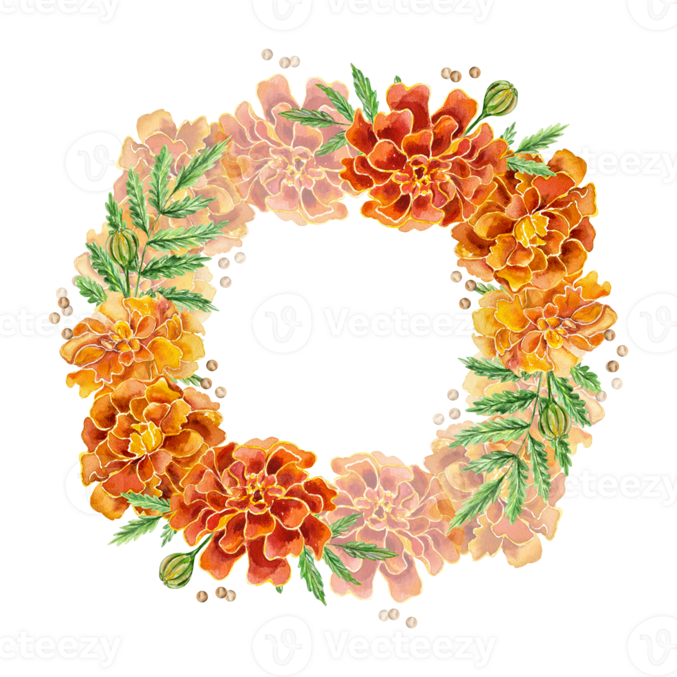 Marigolds wreath, round frame. Hand drawn watercolor illustration of flowers. For Birthday cards, Mexican Day of the Dead, invitations, labels, covers. png