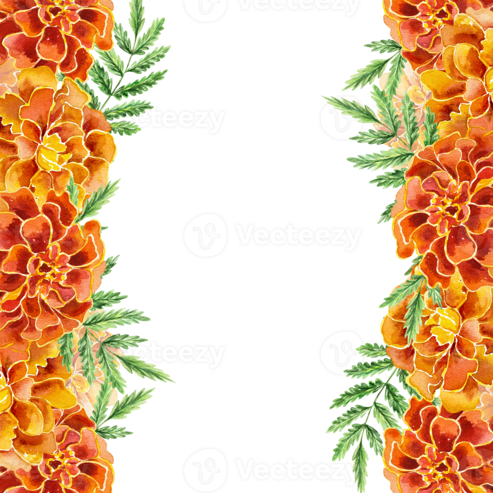 Marigolds vertical frame. Hand drawn watercolor illustration of flowers. For Birthday cards, Mexican Day of the Dead, invitations, labels, covers. png