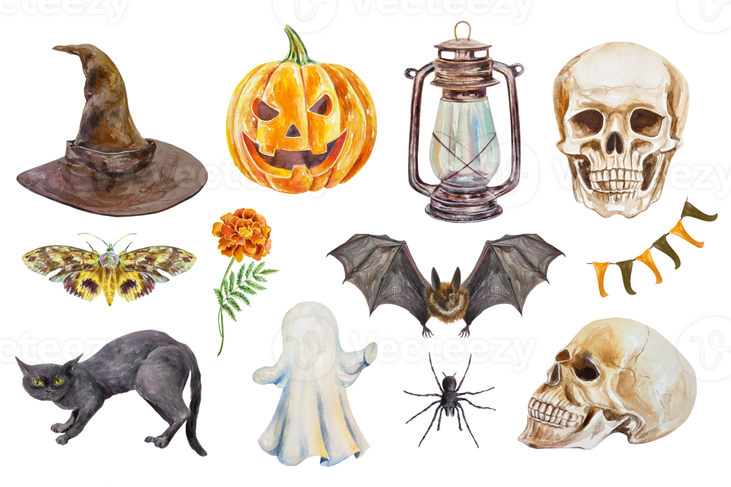 Halloween set. Pumpkin, skull, ghost, witch hat, bat, cat, lamp, spider, moth. Hand drawn watercolor illustration. For cards, invitations, covers, flyers, posters. png