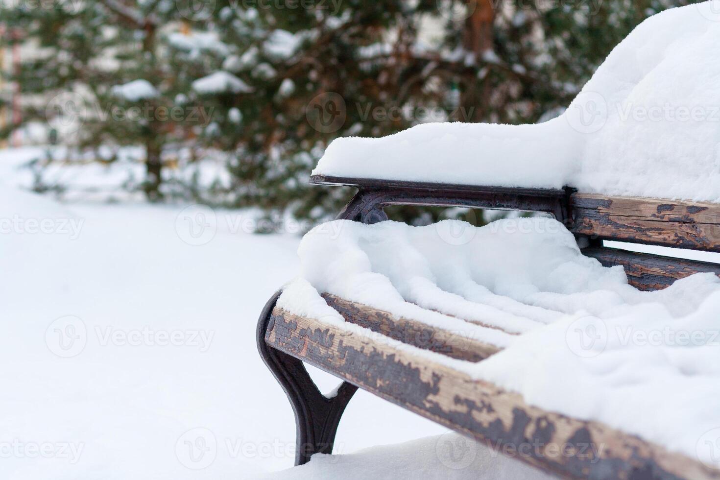 Close up view on the snow covered wooden bench in the winter park photo