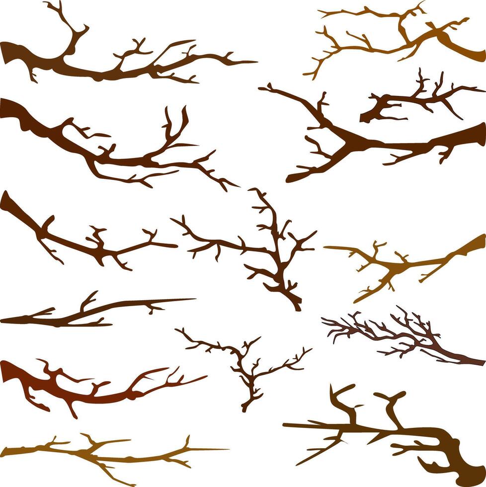 Tree Branch illustration for Nature and Design Projects vector