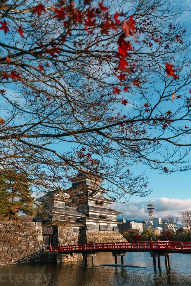 Matsumoto Castle or Crow Castle in Autumn, is one of Japanese premier historic castles in easthern Honshu. Landmark and popular for tourists attraction in Matsumoto city, Nagano Prefecture, Japan photo