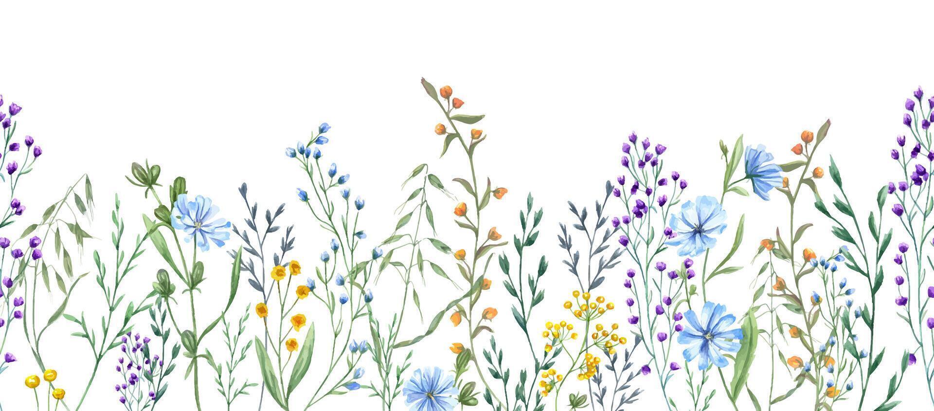 Meadow herbs, plants, flowers. Seamless border of wildflowers. Yellow, blue flower, green grass. Spring, summer greenery. Watercolor illustration for wedding textile, package and greetings vector