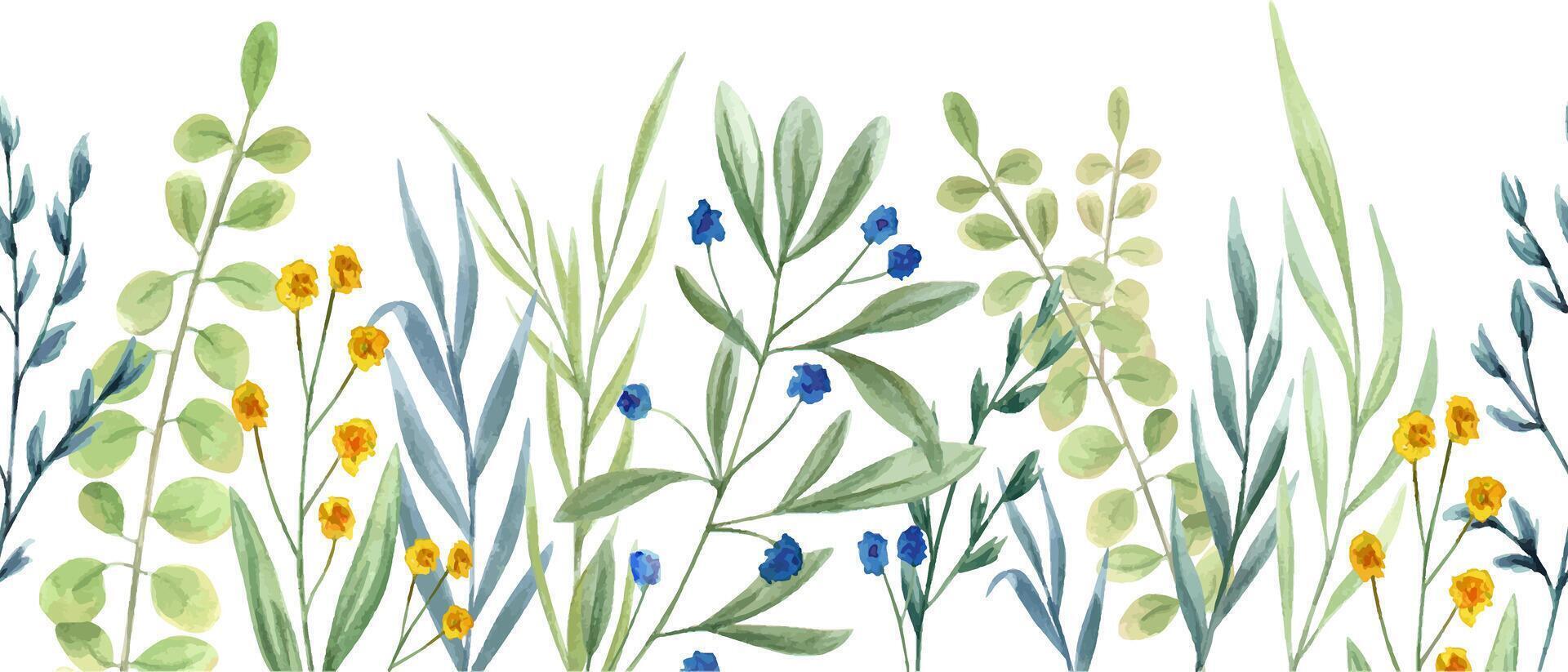 Meadow abstract herbs. Green plants. Blue, yellow flowers. Seamless border of wildflowers. Spring, summer greenery. Watercolor illustration. Banner for wedding textile, package vector