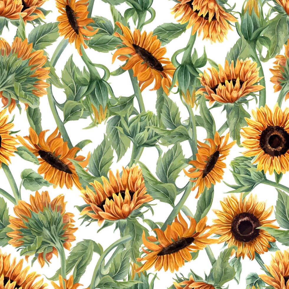 Seamless Pattern with sunflower and green leaves. Intertwining stems of flowers. Floral summer composition. Flowers with leaf. Watercolor illustration. For wallpapers, textiles, and digital artwork. vector