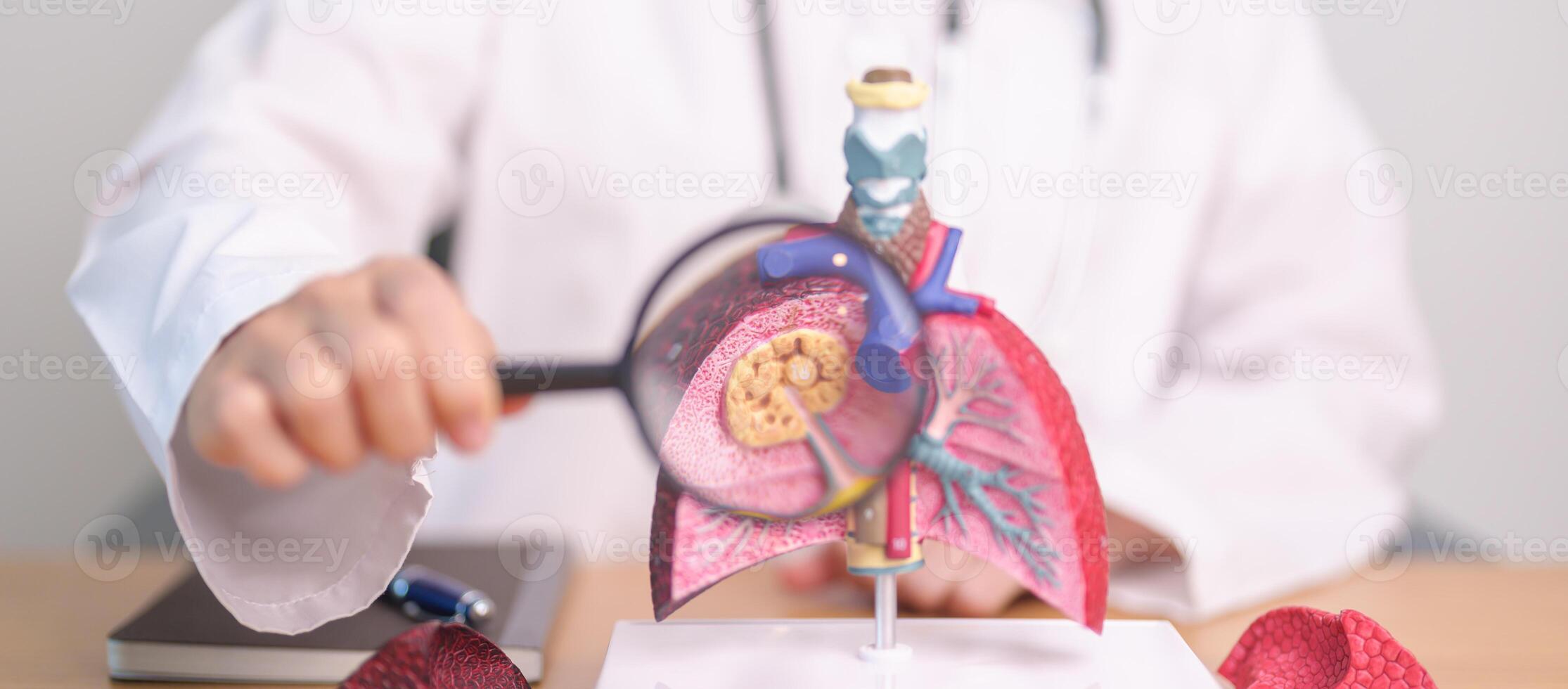 Doctor with Smoker Lung anatomy with magnifying glass. Lung Cancer, Asthma, Chronic Obstructive Pulmonary or COPD, Bronchitis, Emphysema, Cystic Fibrosis, Bronchiectasis, Pneumonia and world Lung day photo