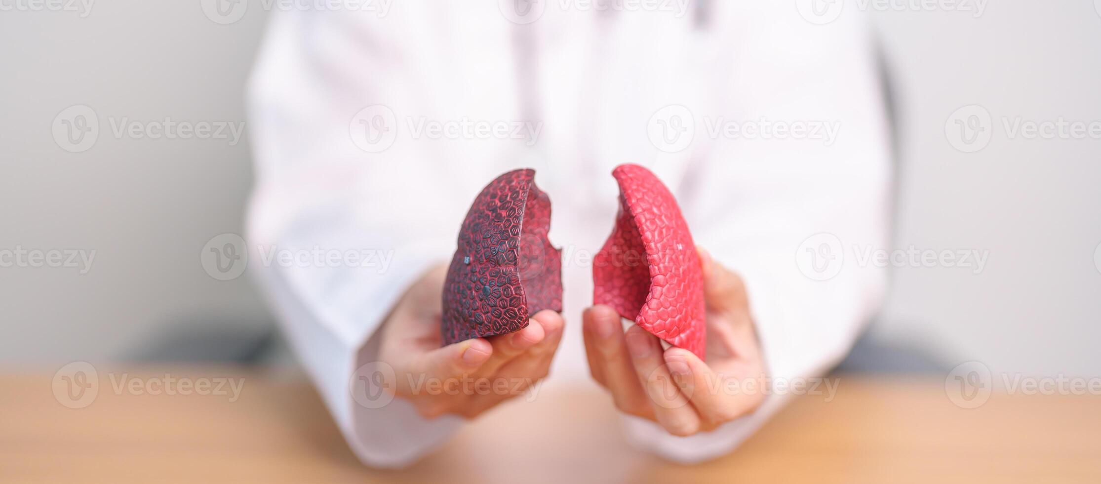 Doctor with Smoker and normal Lung anatomy for Disease. Lung Cancer, Asthma, Chronic Obstructive Pulmonary or COPD, Bronchitis, Emphysema, Cystic Fibrosis, Bronchiectasis, Pneumonia and world Lung day photo