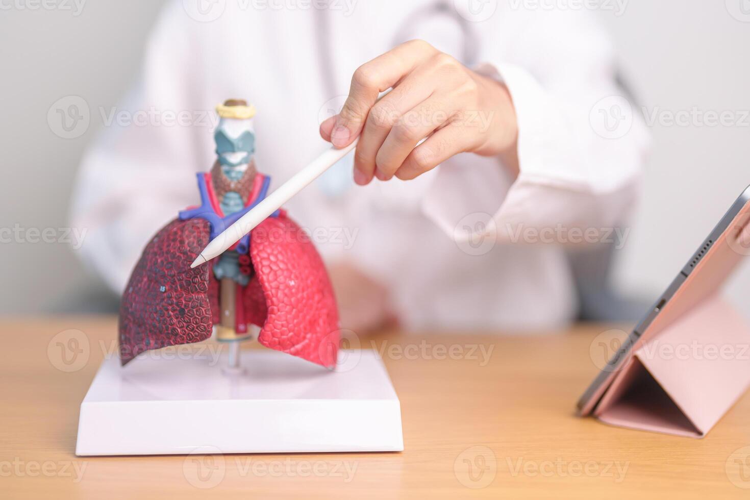Doctor with Smoker and normal Lung anatomy for Disease. Lung Cancer, Asthma, Chronic Obstructive Pulmonary or COPD, Bronchitis, Emphysema, Cystic Fibrosis, Bronchiectasis, Pneumonia and world Lung day photo