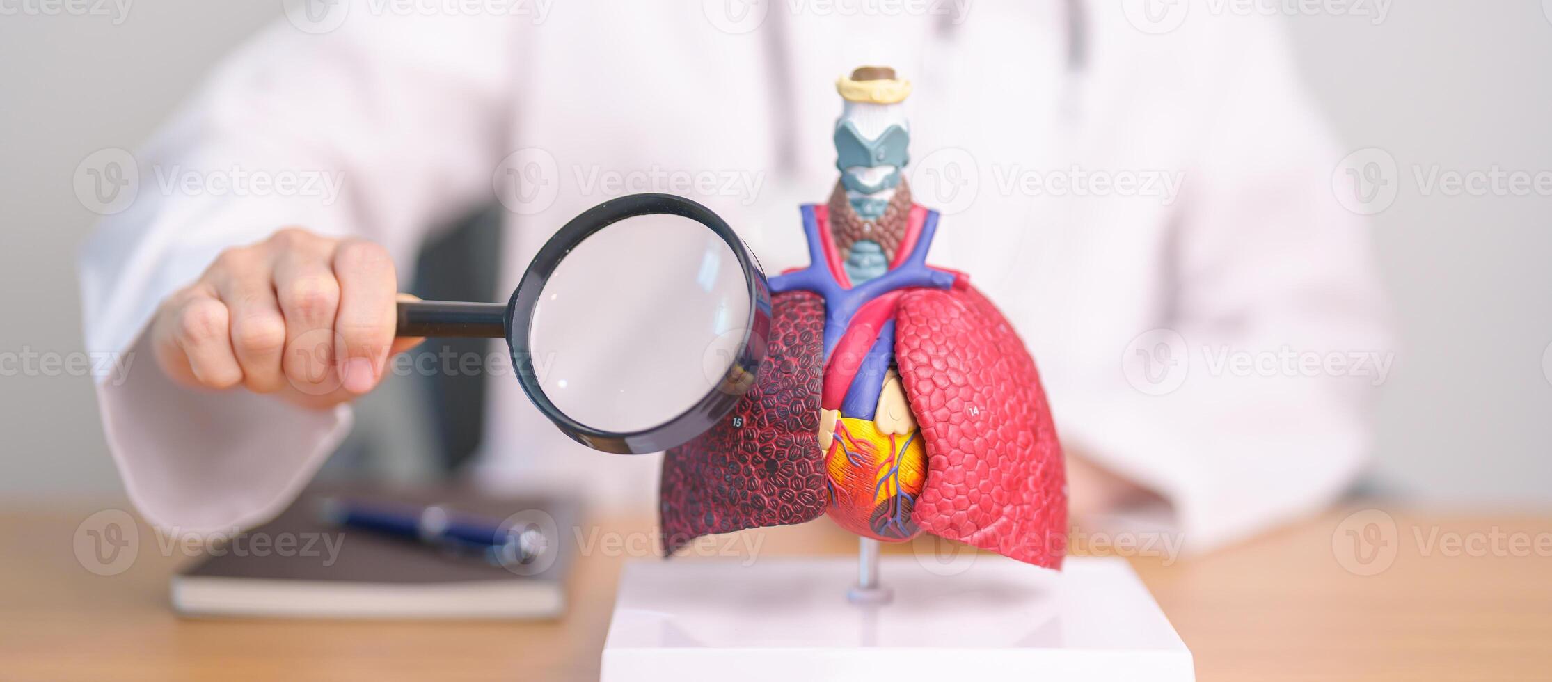 Doctor with Smoker Lung anatomy with magnifying glass. Lung Cancer, Asthma, Chronic Obstructive Pulmonary or COPD, Bronchitis, Emphysema, Cystic Fibrosis, Bronchiectasis, Pneumonia and world Lung day photo