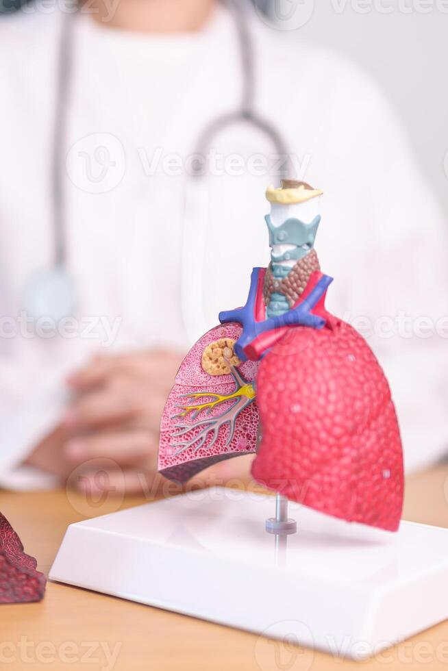 Doctor with Smoker and normal Lung anatomy for Disease. Lung Cancer, Asthma, Chronic Obstructive Pulmonary or COPD, Bronchitis, Emphysema, Cystic Fibrosis, Bronchiectasis, Pneumonia and world Lung day photo