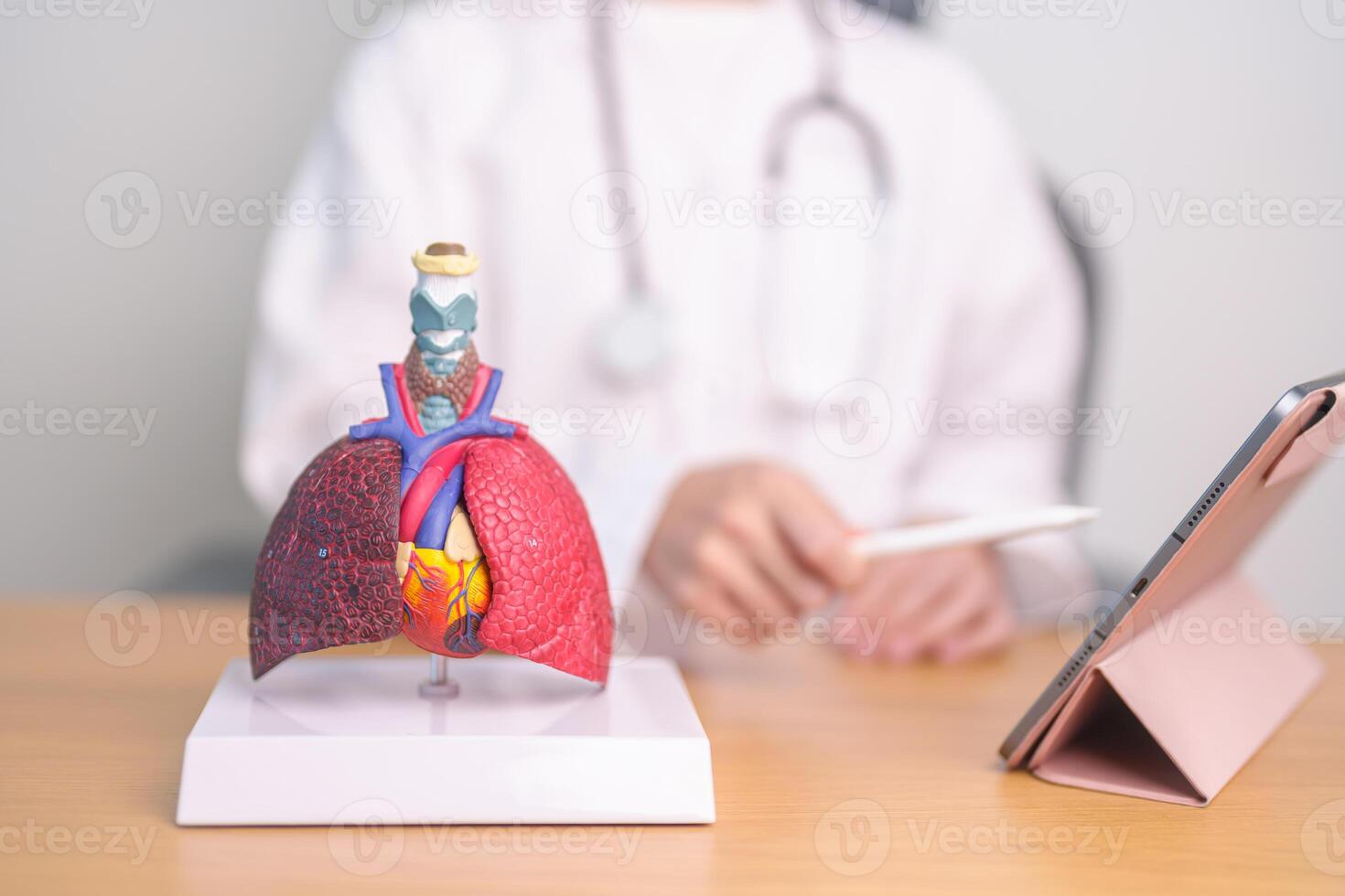 Doctor with Respiratory system anatomy for Diseases. Lung Cancer, Asthma, Chronic Obstructive Pulmonary or COPD, Bronchitis, Emphysema, Cystic Fibrosis, Bronchiectasis, Pneumonia and Pleural Effusion photo