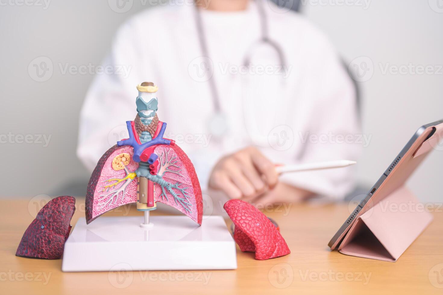 Doctor with Smoker and normal Lung anatomy for Disease. Lung Cancer, Asthma, Chronic Obstructive Pulmonary or COPD, Bronchitis, Emphysema, Cystic Fibrosis, Bronchiectasis, Pneumonia and world Lung day photo