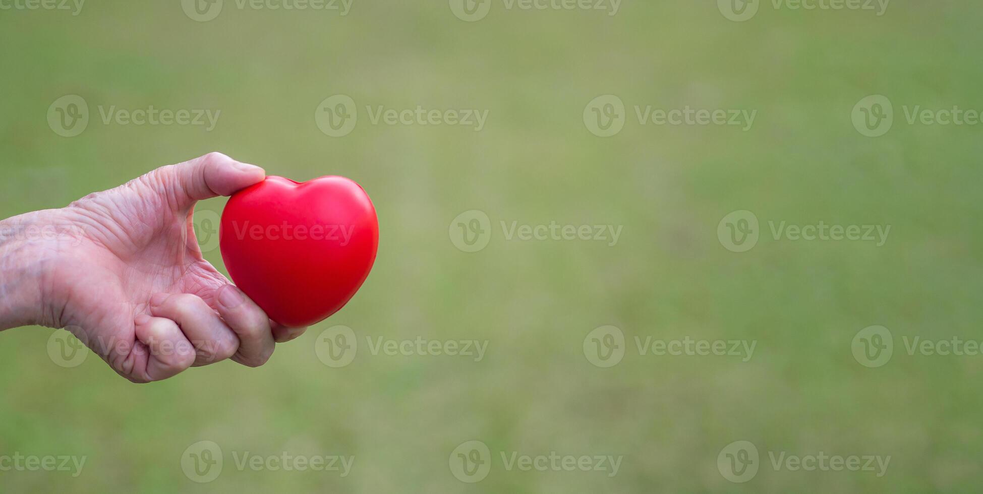 Hand of a senior woman holding a red heart shape on the green grass background. Space for text. Aged people and healthcare concept photo
