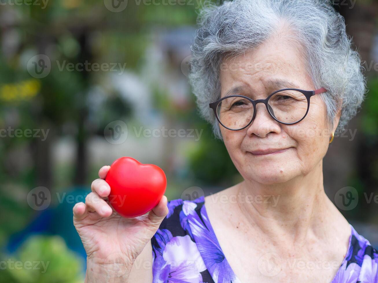 Portrait of a senior woman with short gray hair holding a red heart shape, smiling and looking at the camera while standing in a garden. Aged people and healthcare concept photo