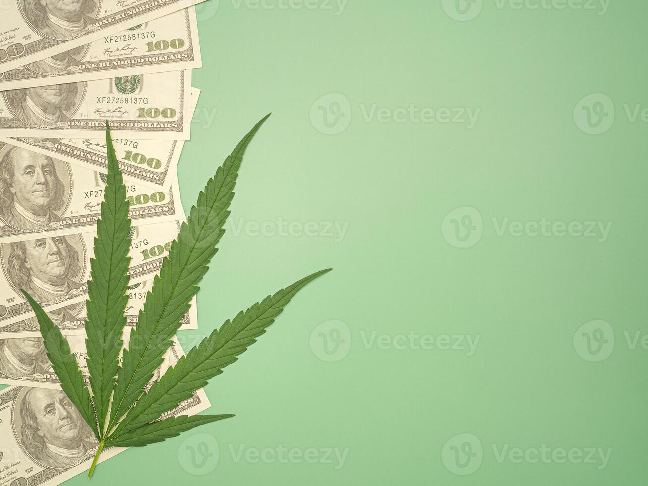 The top view of cannabis leaf laid on one hundred dollar banknotes isolated green background. Flat lay. Space for text. USD currency, business, and finance concept photo