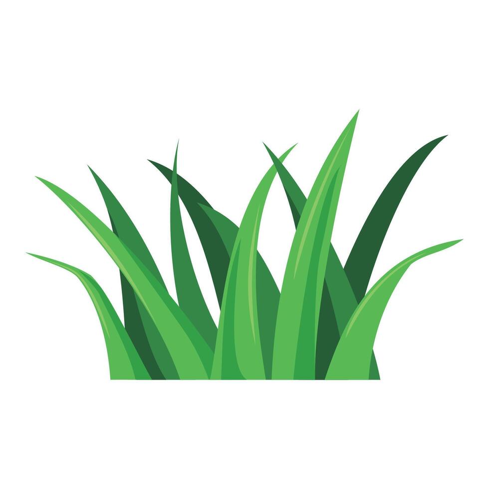 colorful grass illustration design. green plant sign and symbol. vector
