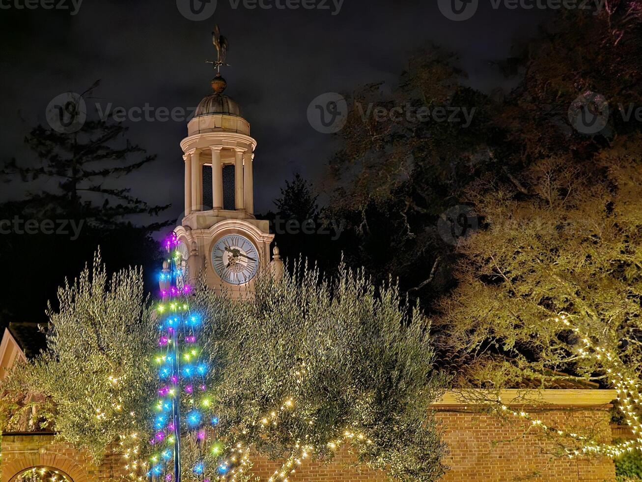 light decorations in a San Francisco garden at night during new year holidays photo