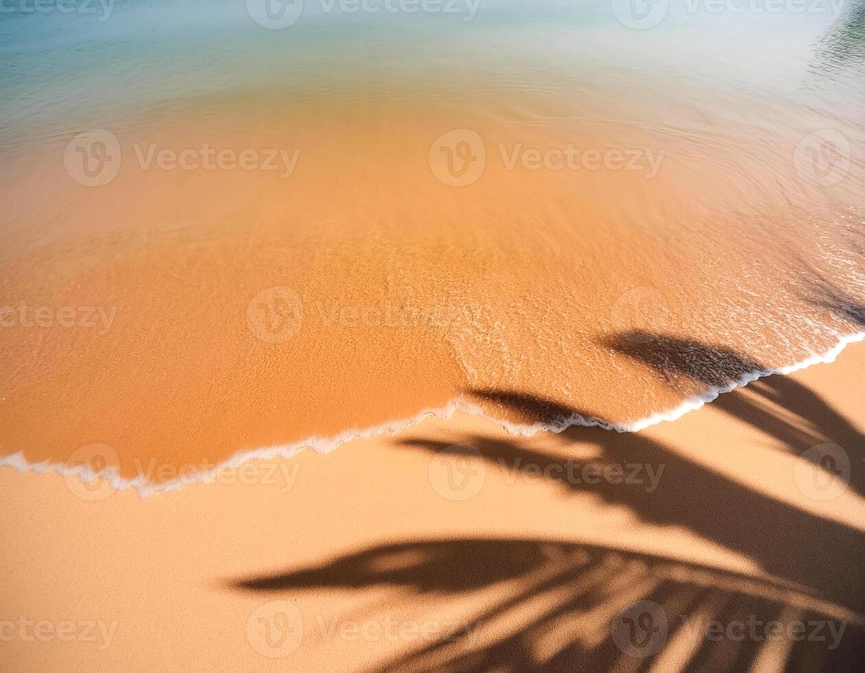 empty abstract sand beach with palm leaf shadow and transparent water wave from above, blank background banner for travel, vacation and wellbeing with copy space. top of views, aerial views photo