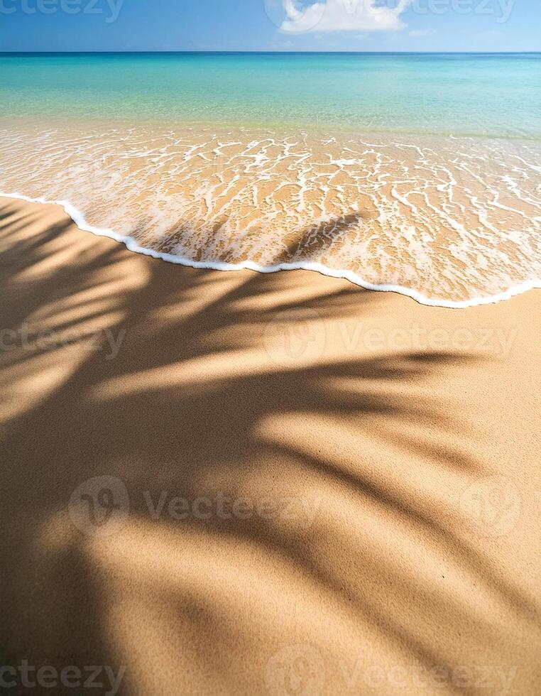 empty abstract sand beach with palm leaf shadow and transparent water wave from above, blank background banner for travel, vacation and wellbeing with copy space. top of views, aerial views photo