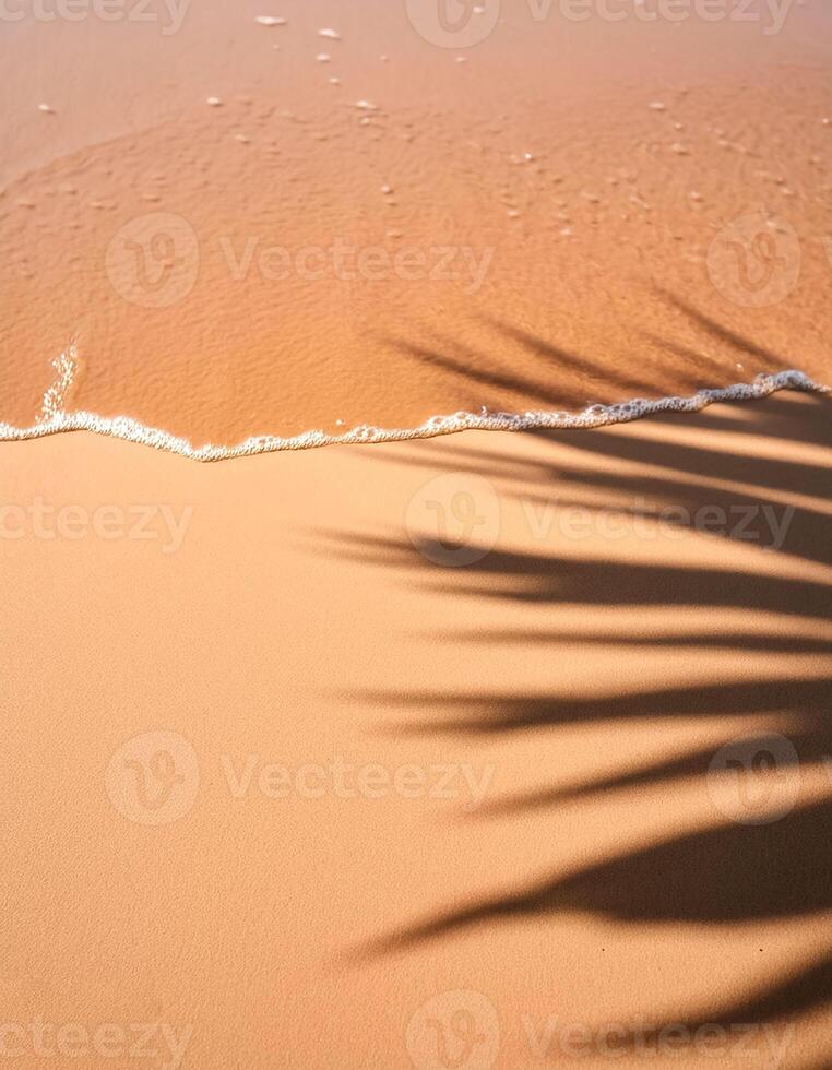 empty abstract sand beach with palm leaf shadow and transparent water wave from above, blank background banner for travel, vacation and wellbeing with copy space. top of views, aerial views photo