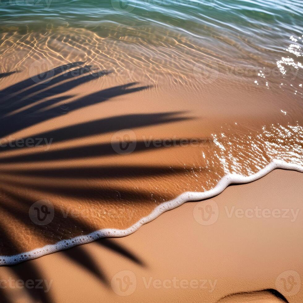 empty abstract sand beach with palm leaf shadow and transparent water wave from above, blank background banner for travel, vacation and wellbeing with copy space. top of views, aerial views photo