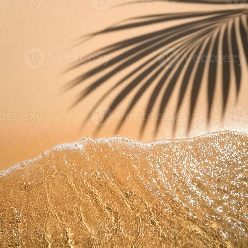 empty abstract sand beach with palm leaf shadow and transparent water wave from above, blank background banner for travel, vacation and wellbeing with copy space. top of views, aerial views photo