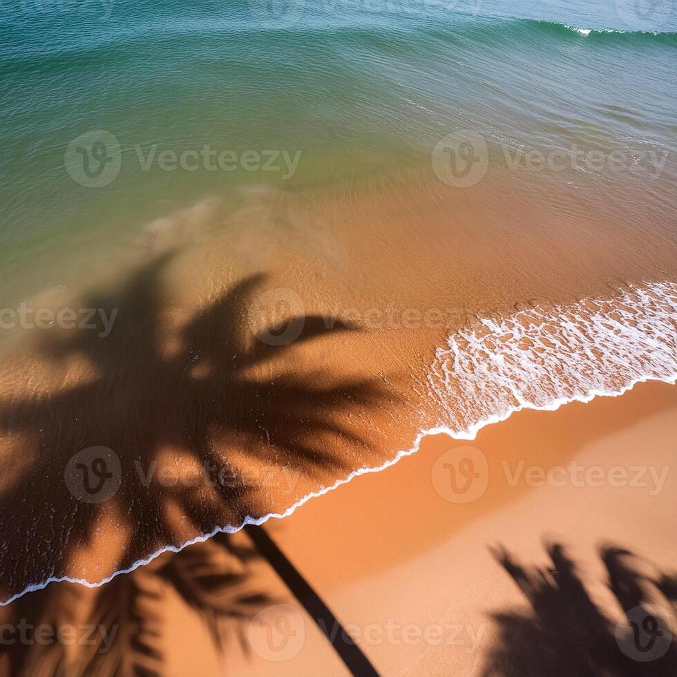 empty abstract sand beach with palm leaf shadow and transparent water wave from above, blank background banner for travel, vacation and wellbeing with copy space. top of views, aerial views photo