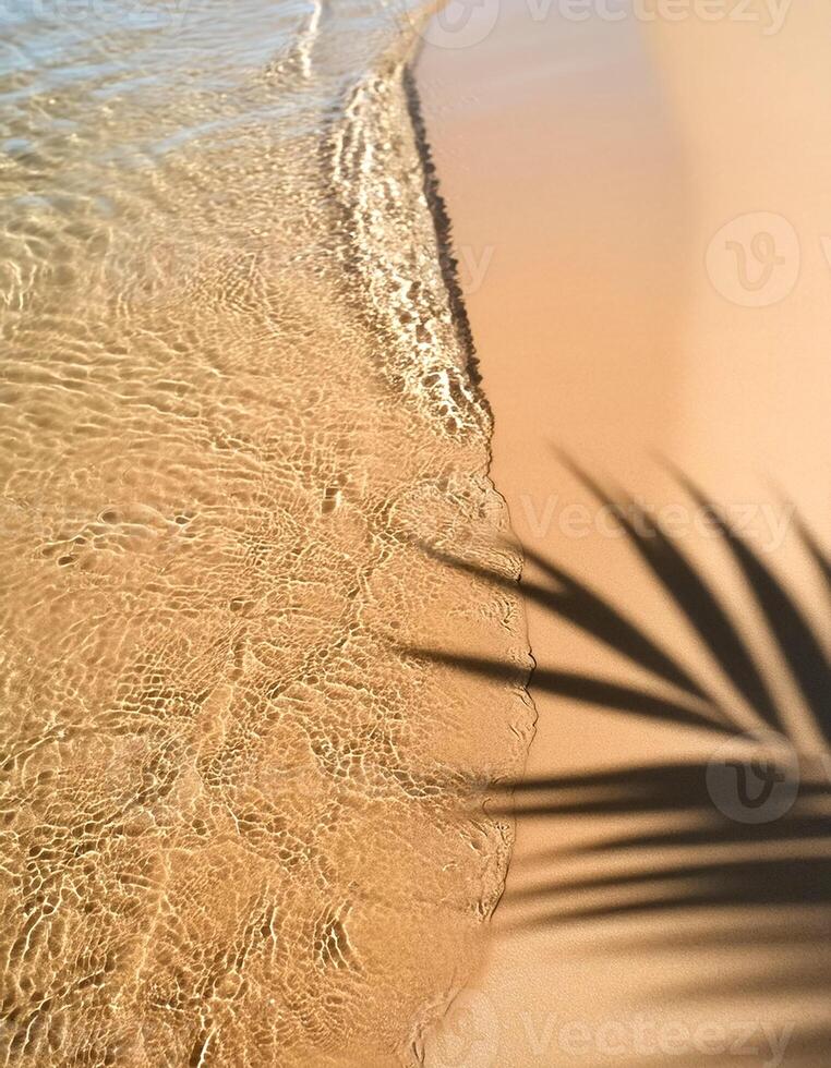 empty abstract sand beach with palm leaf shadow and transparent water wave from above, blank background banner for travel, vacation and wellbeing with copy space. top of views, aerial views photo