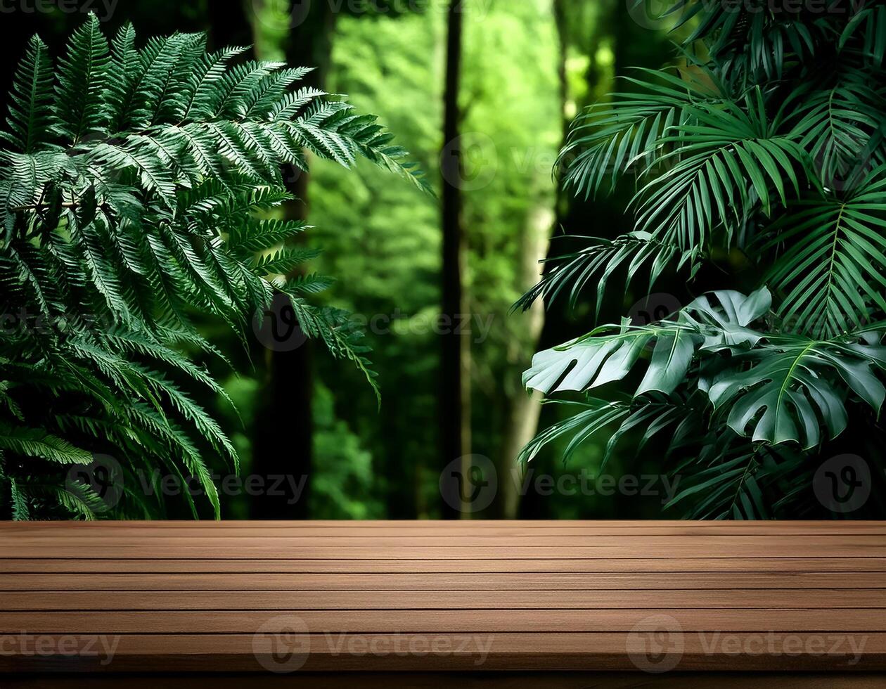 tropical forest for product presentation and dark green forest. photo